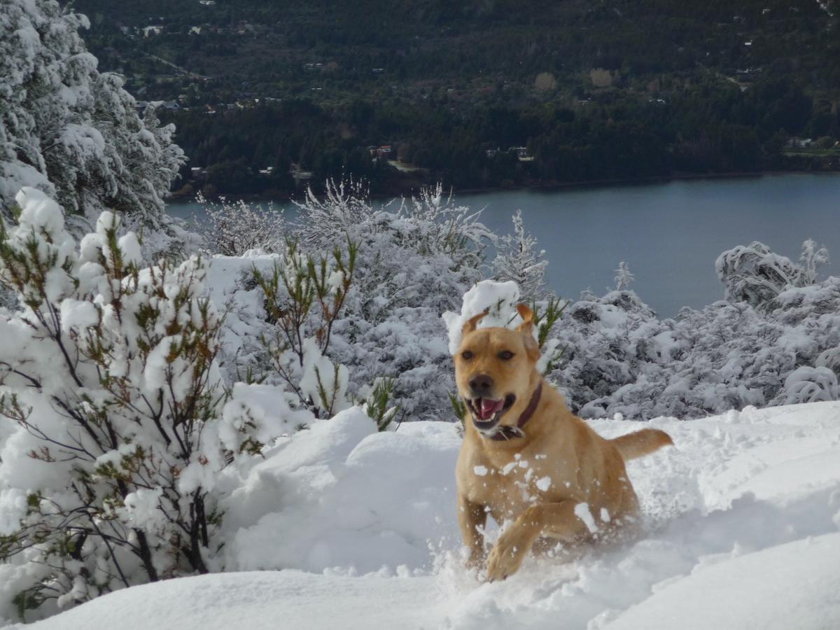Galileo Boutique Hotel Bariloche Zewnętrze zdjęcie